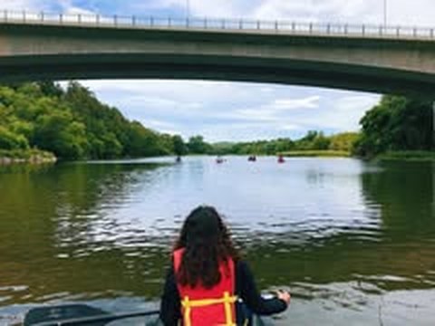 Staff canoe trip on the Grand River
